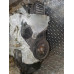 Двигатель HFX HFZ TU1JP (Peugeot)